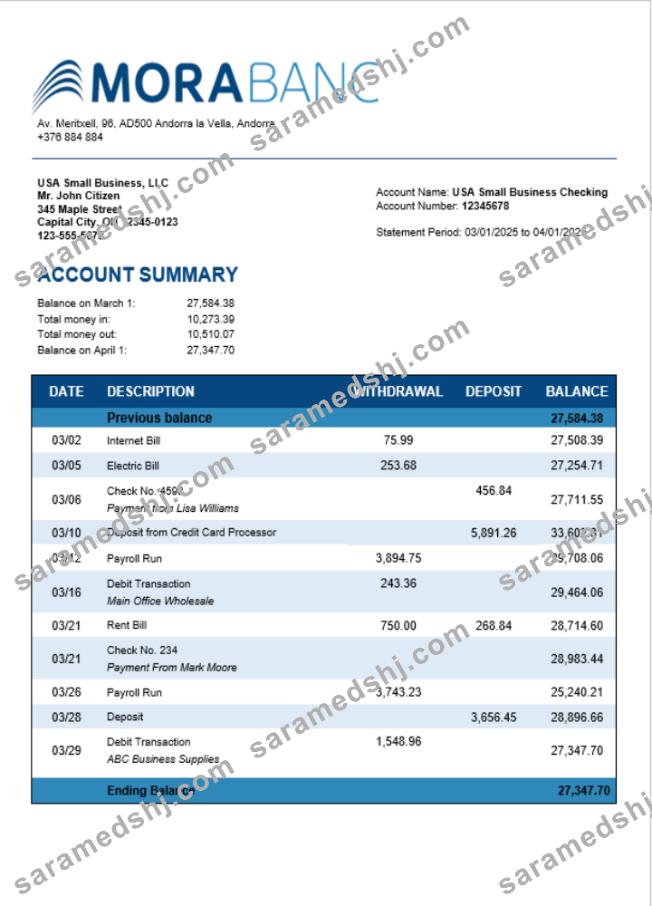 Morabank firm account statement Word and PDF format